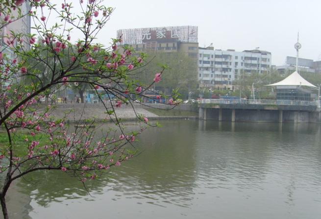 FFD00424172959.jpg